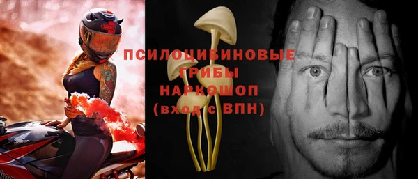 гашик Магас