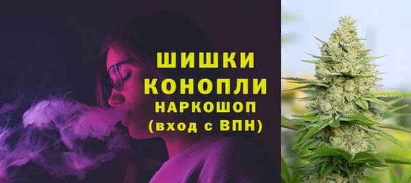 амф Липки