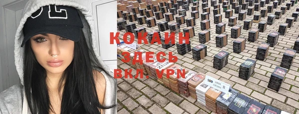 гашик Магас